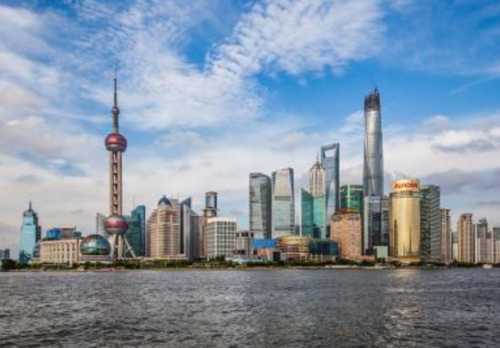 上海自然之旅,温柔邂逅的魅力瞬间