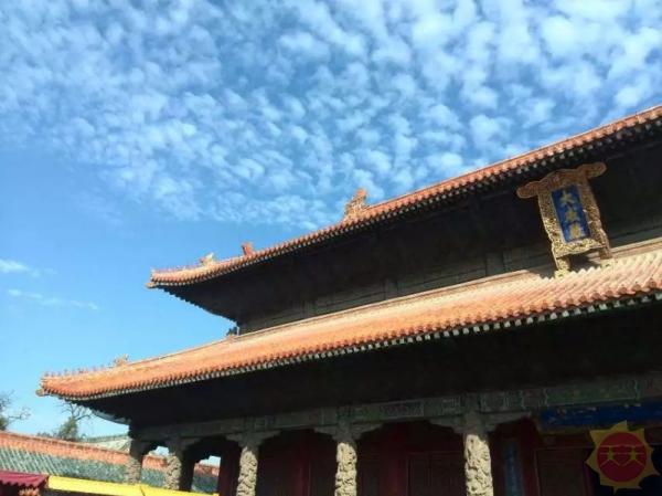 齐鲁风华,山东的文化传承与现代化魅力