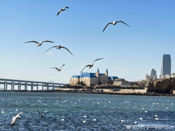 大连任务攻略与技能学习指南,详细步骤助你轻松达成目标!